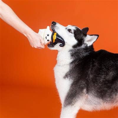 One Wicked Ghost Dog Chew Toy