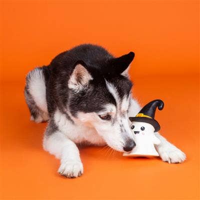 One Wicked Ghost Dog Chew Toy