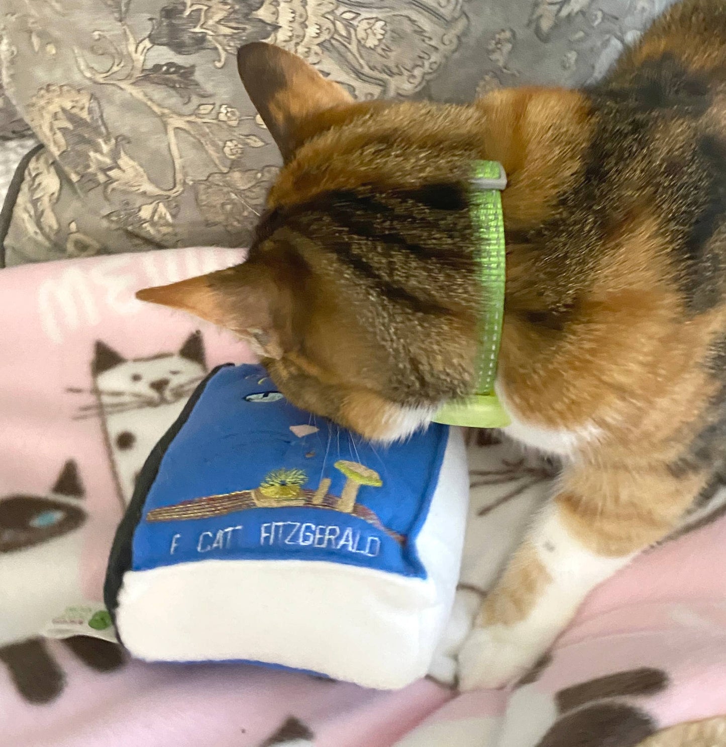 Handmade Cat Toy- Plush Book for Cats "The Great Catsby"