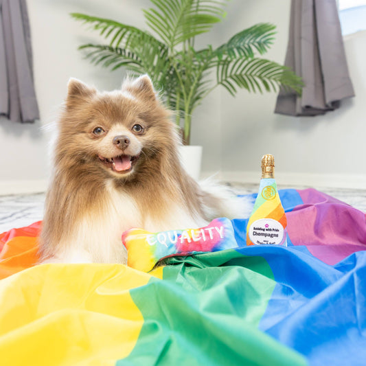 Tiny Tuff Out For Brunch 2pk