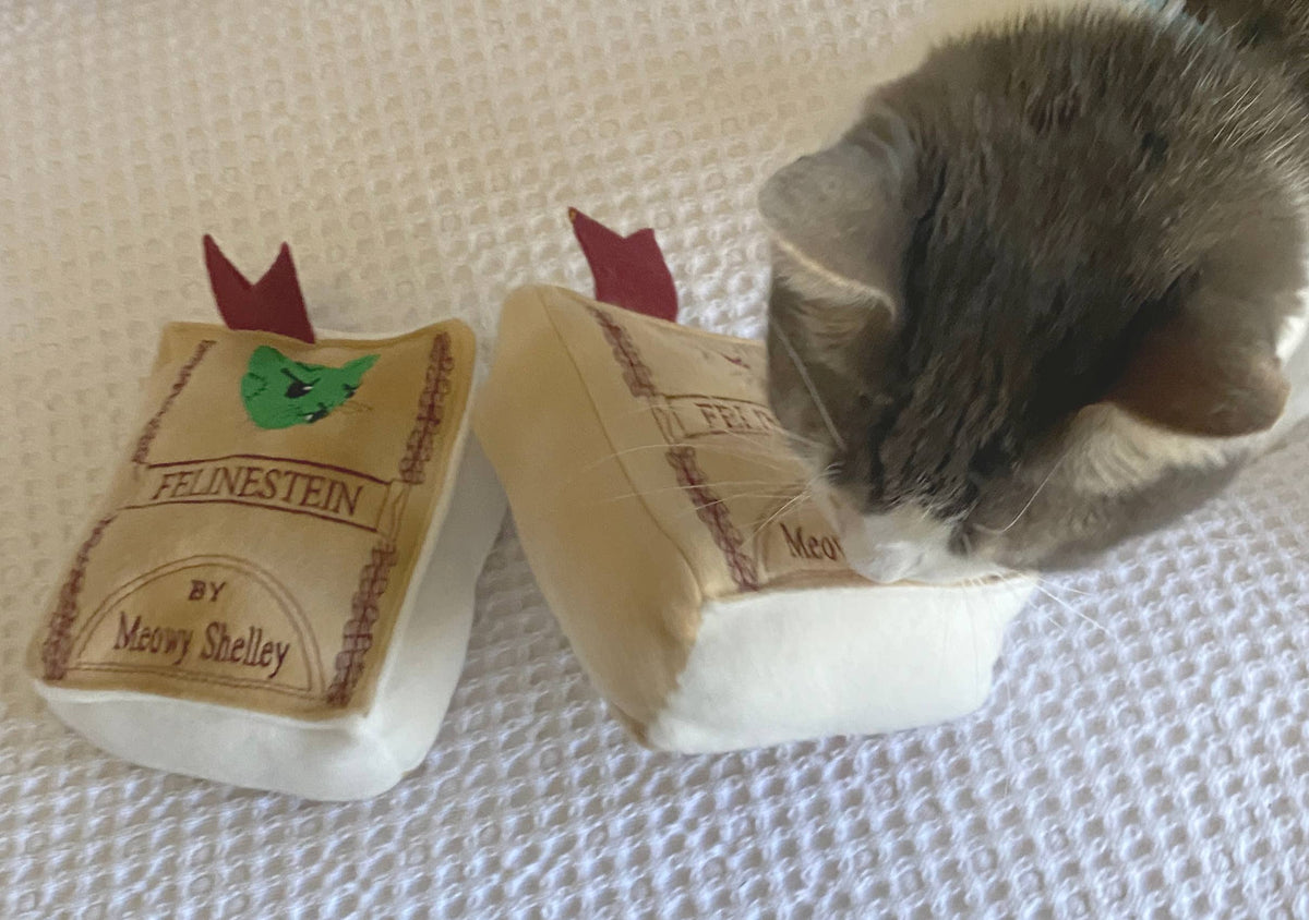 Handmade Cat Toy- Plush Book for Cats "Felinestein"