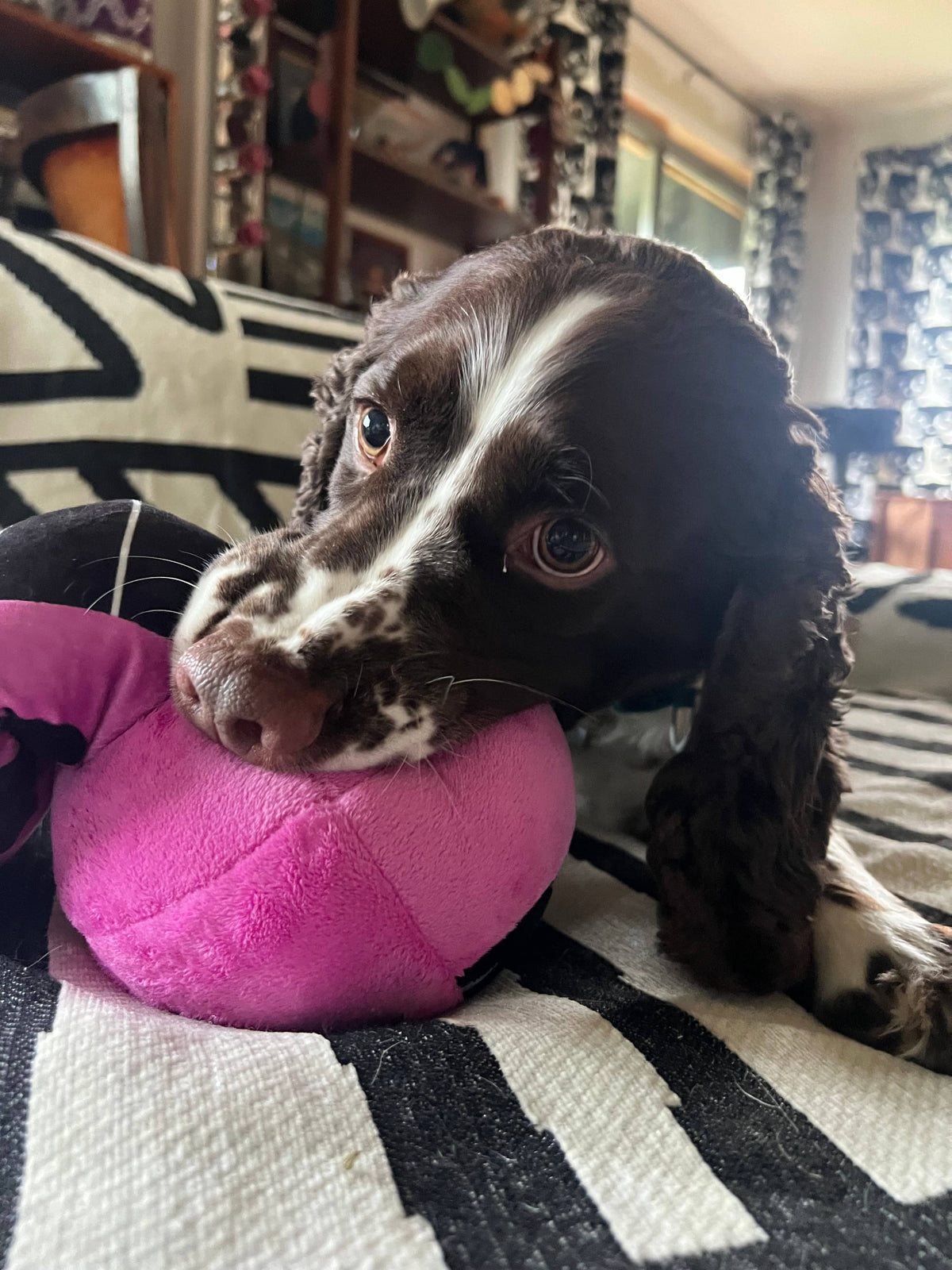 Pink Eye