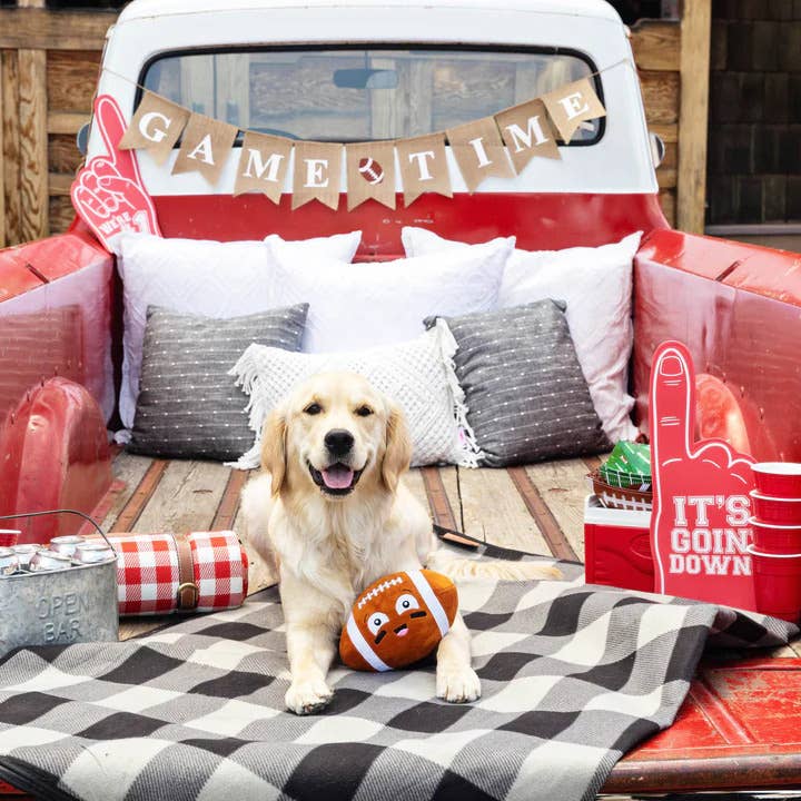 Foot Baller Plush Dog Toy