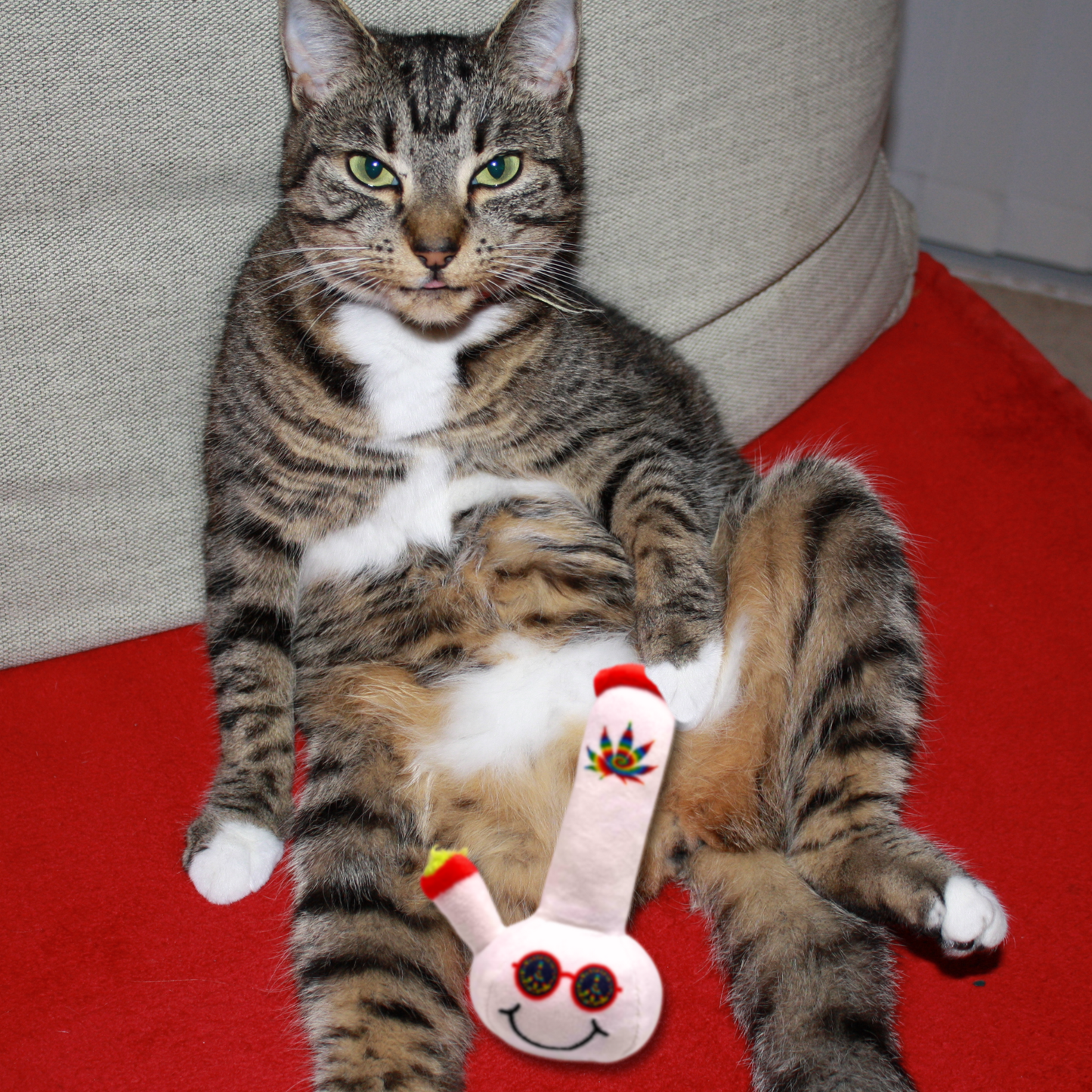 My Name is Lil' Billie Bong, Funny Parody Weed Theme Cat Toy
