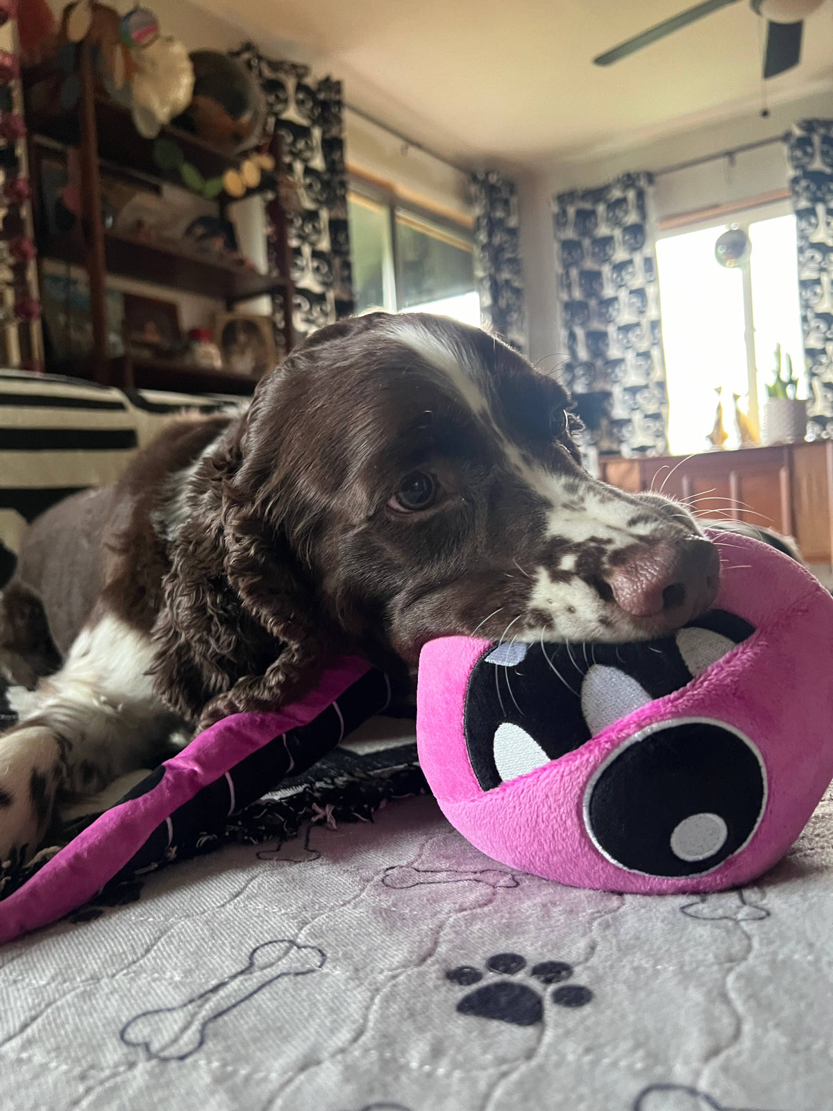 Pink Eye