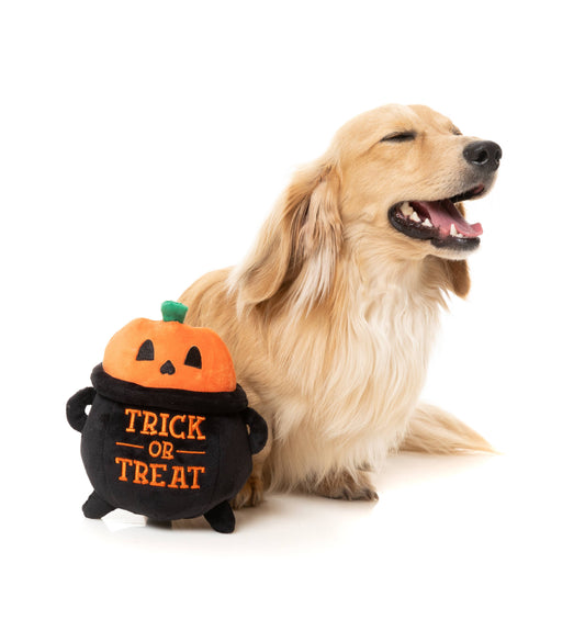 Trick Or Treat Cauldron Dog Toy