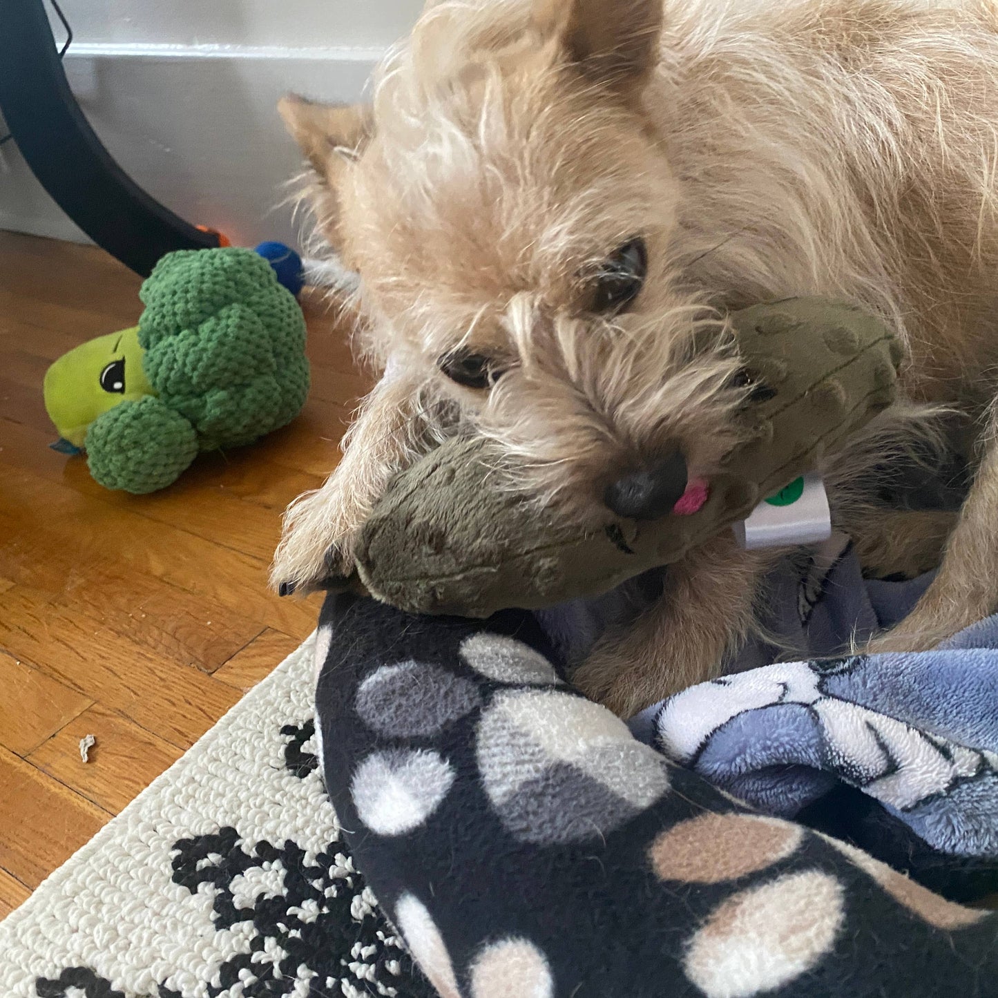 Handmade Pet Toys - Dog Squeaker Stuffed Pickles