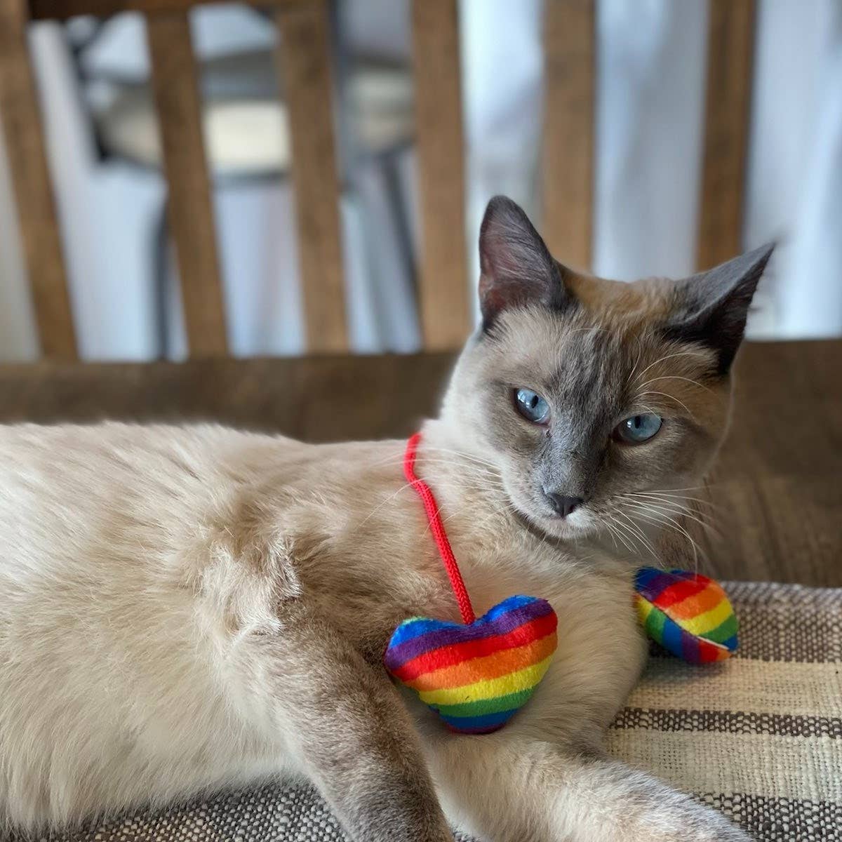Pride Heart Strings Cat Toy