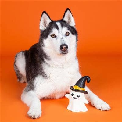 One Wicked Ghost Dog Chew Toy