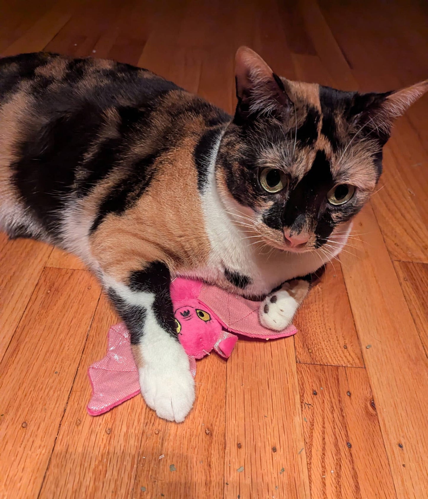 Glittermaus