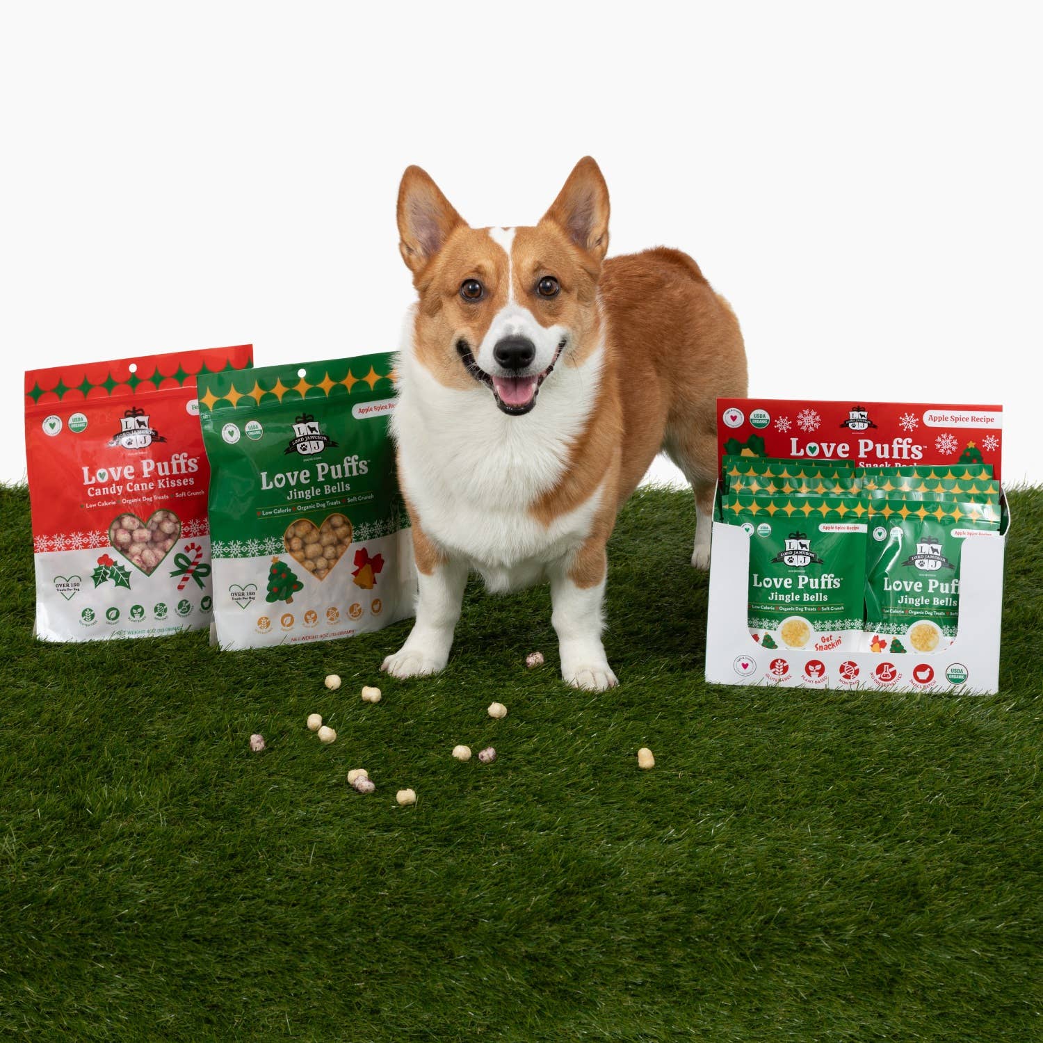 Holiday Toys and Treats