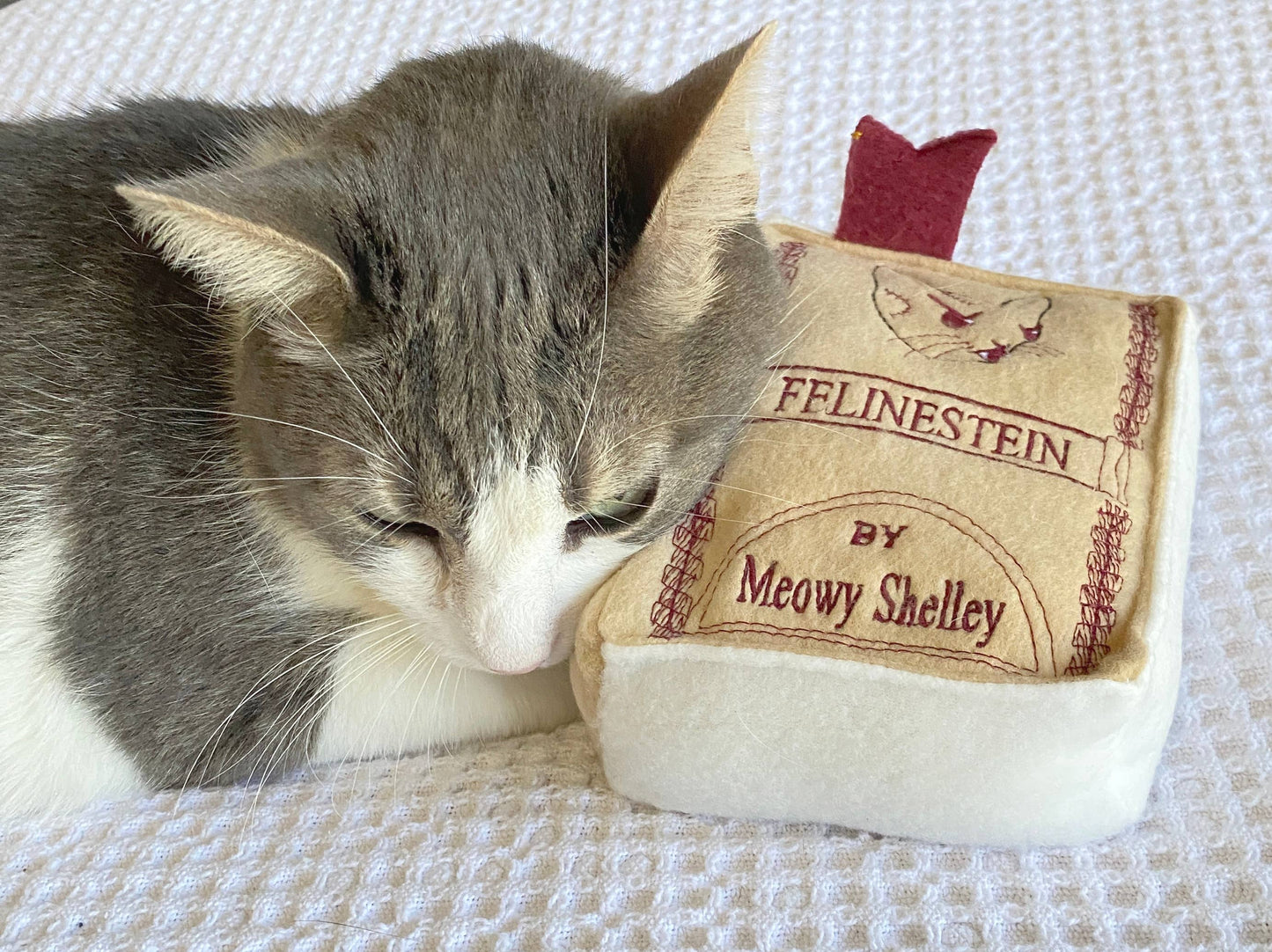 Handmade Cat Toy- Plush Book for Cats "Felinestein"