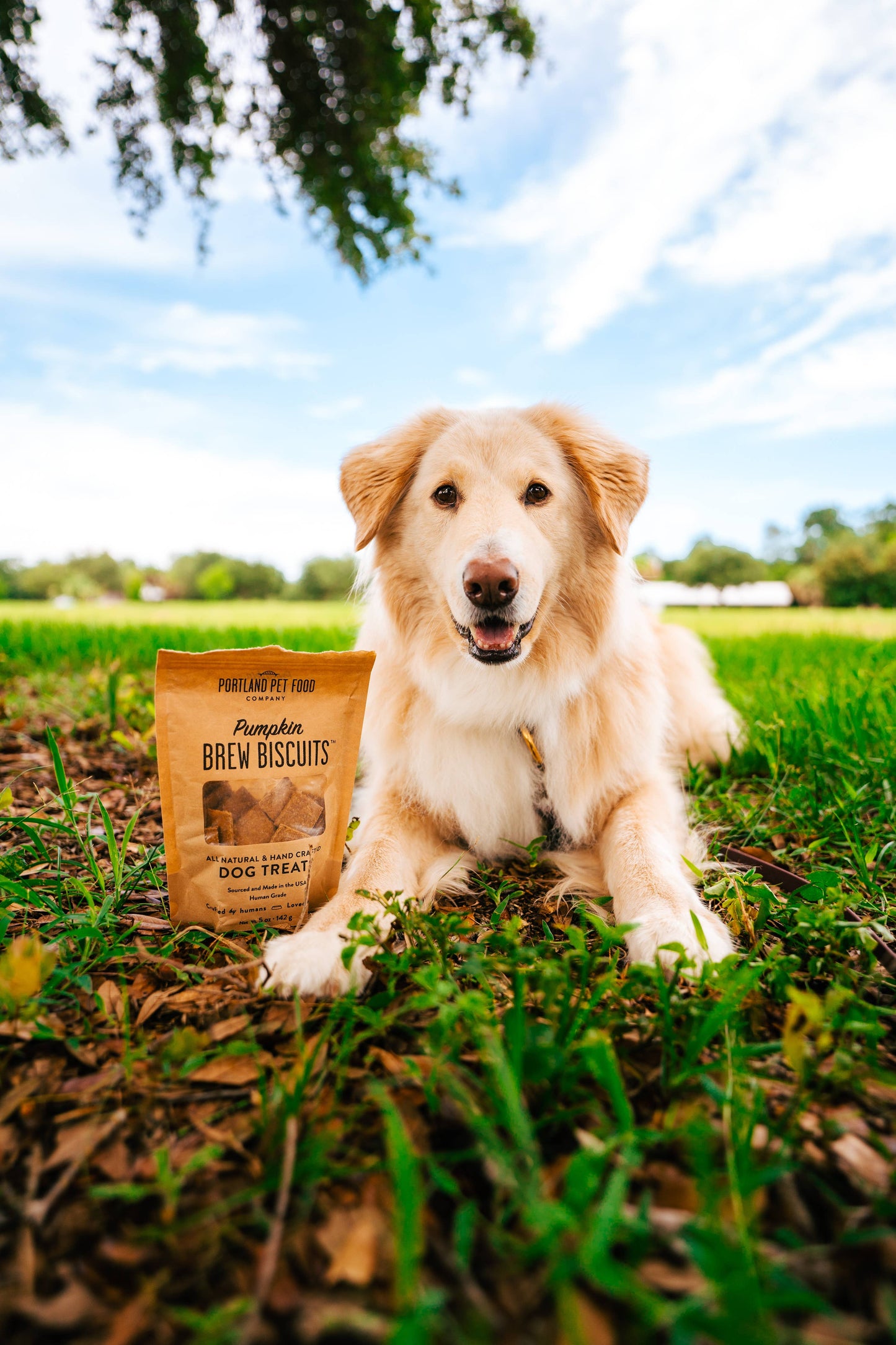 Pumpkin Brew Dog Biscuits