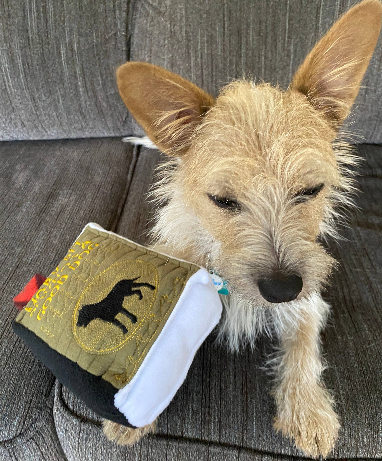 Handmade Dog Toy- Plush Books for Dogs "Moby Pit" & More