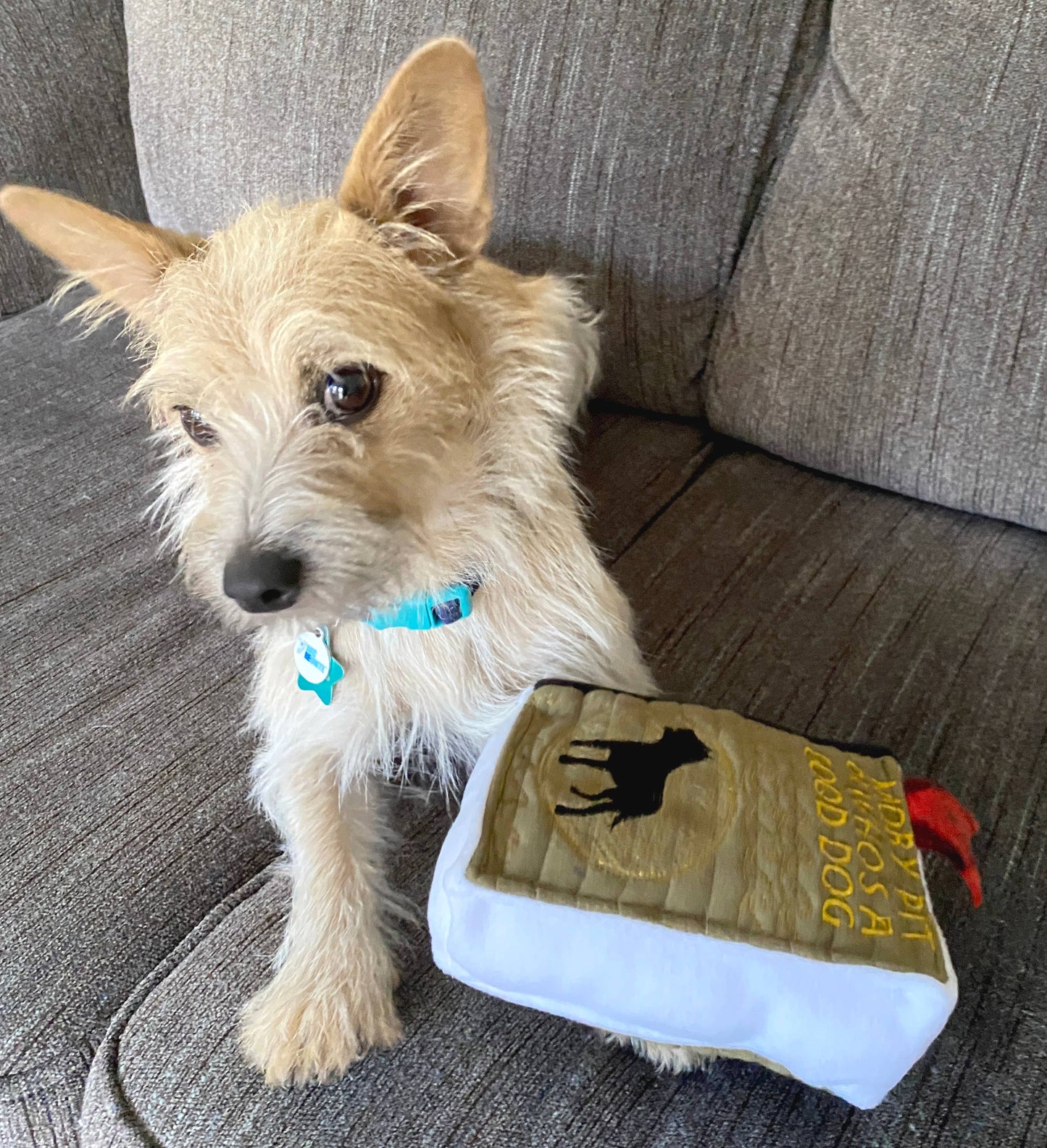 Handmade Dog Toy- Plush Books for Dogs "Moby Pit" & More