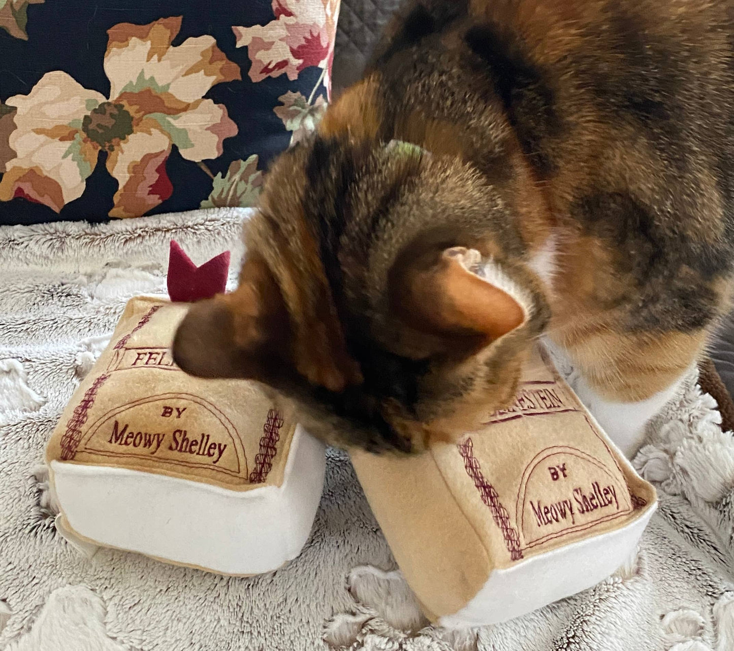 Handmade Cat Toy- Plush Book for Cats "Felinestein"