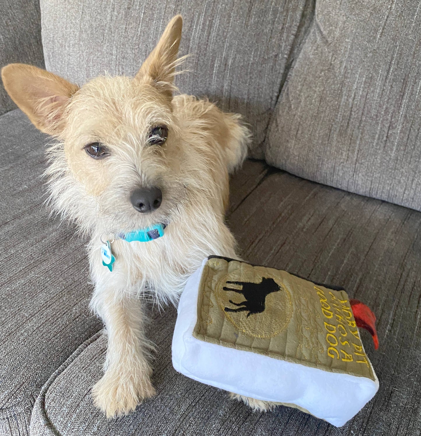 Handmade Dog Toy- Plush Books for Dogs "Moby Pit" & More