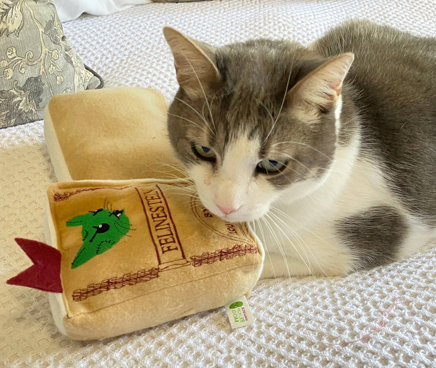 Handmade Cat Toy- Plush Book for Cats "Felinestein"