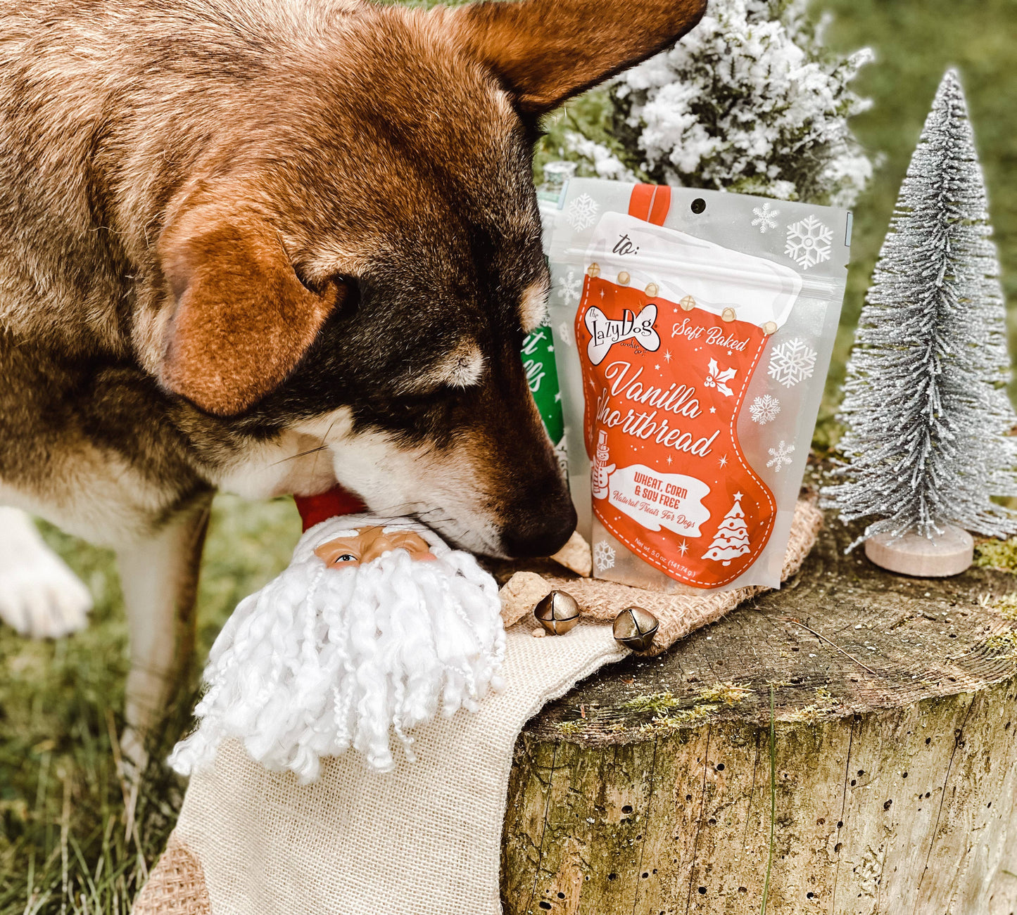 Lazy Dog Vanilla Shortbread Stocking