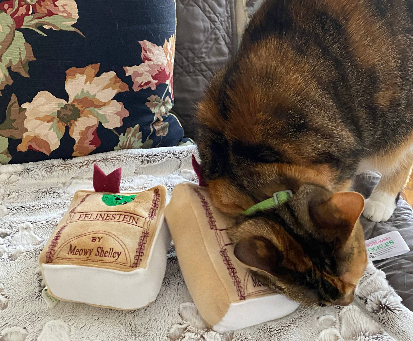 Handmade Cat Toy- Plush Book for Cats "Felinestein"