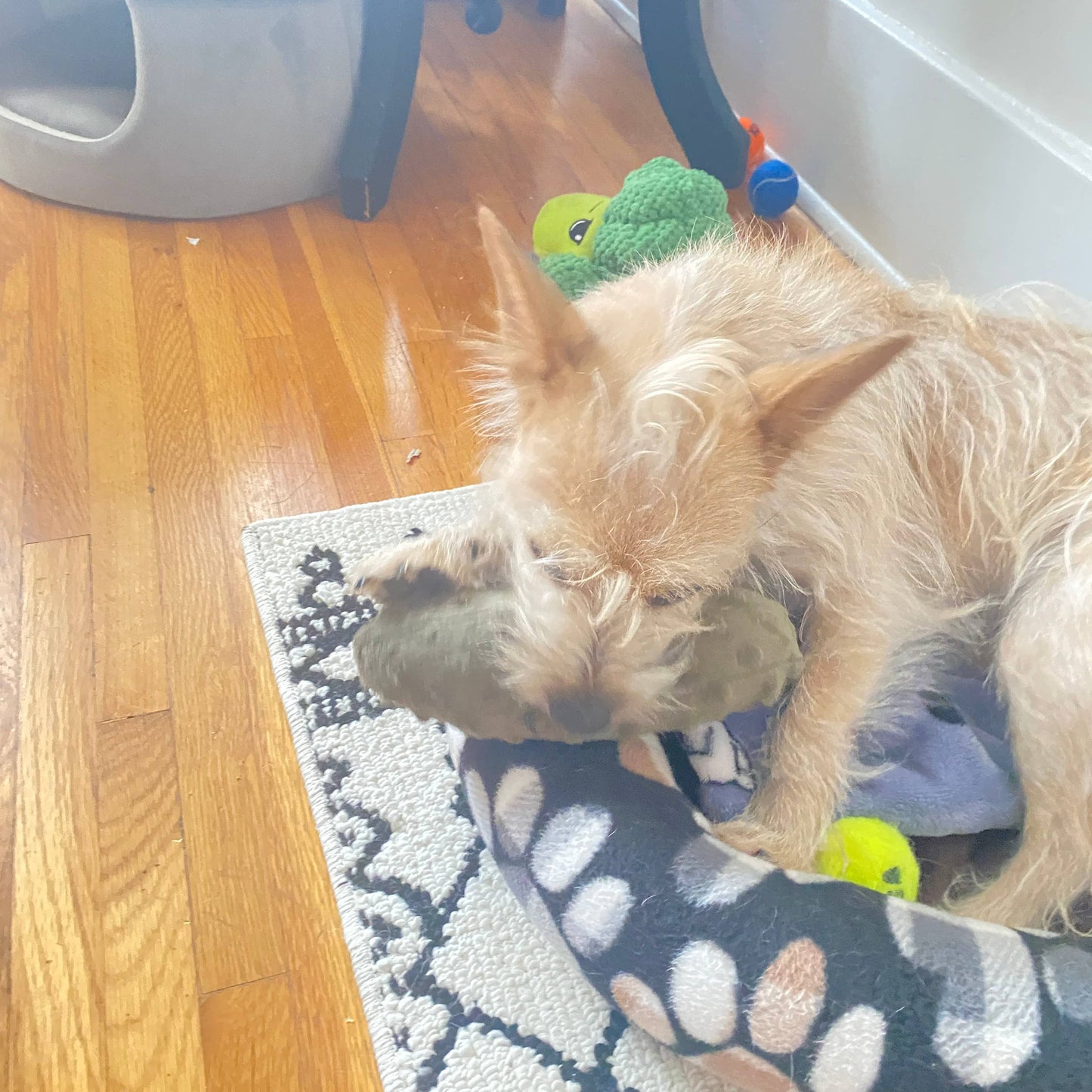 Handmade Pet Toys - Dog Squeaker Stuffed Pickles