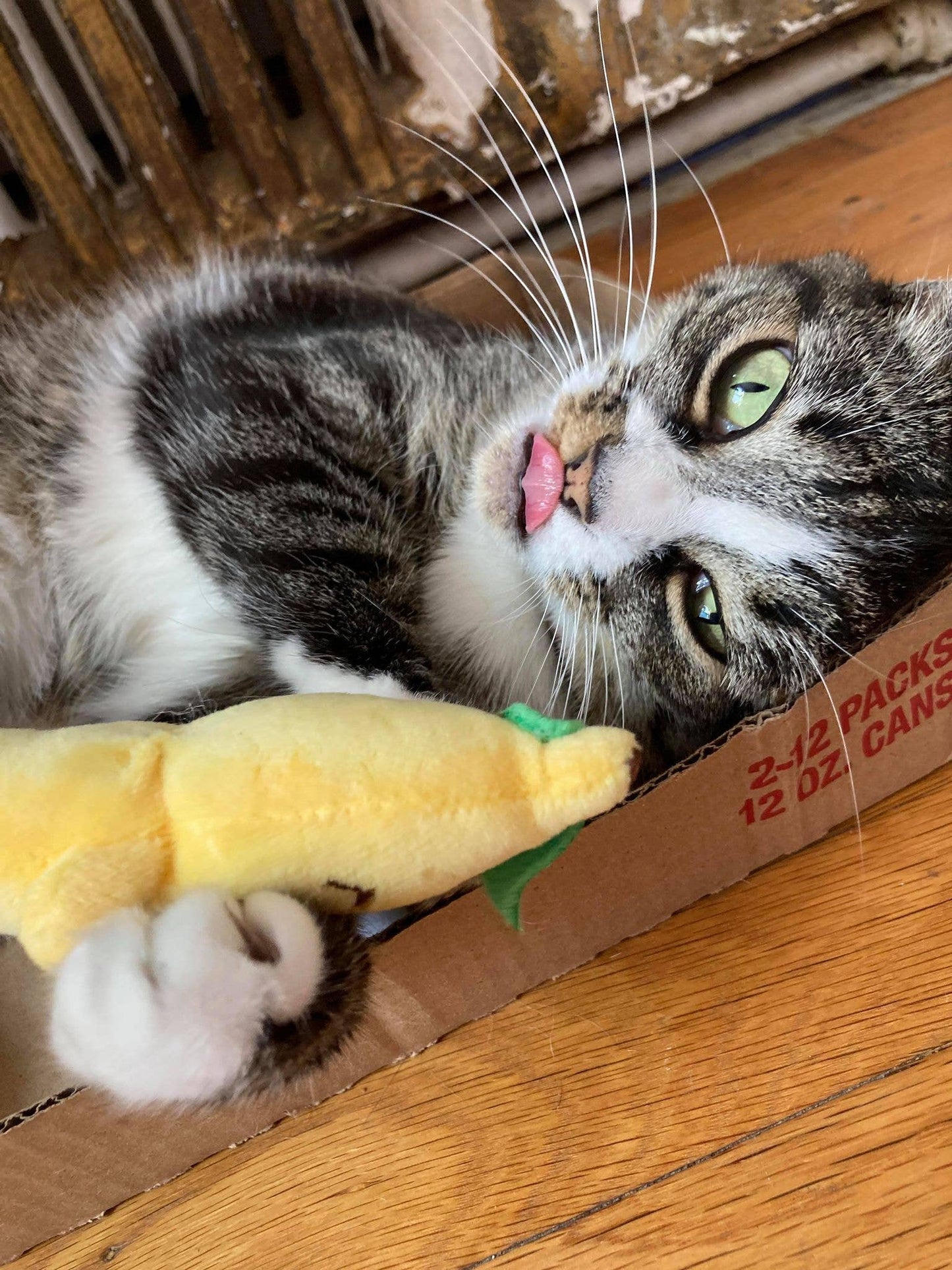 Smokey's Stash Catnip Toys-Avocado, Banana & Sisal Rope Toys