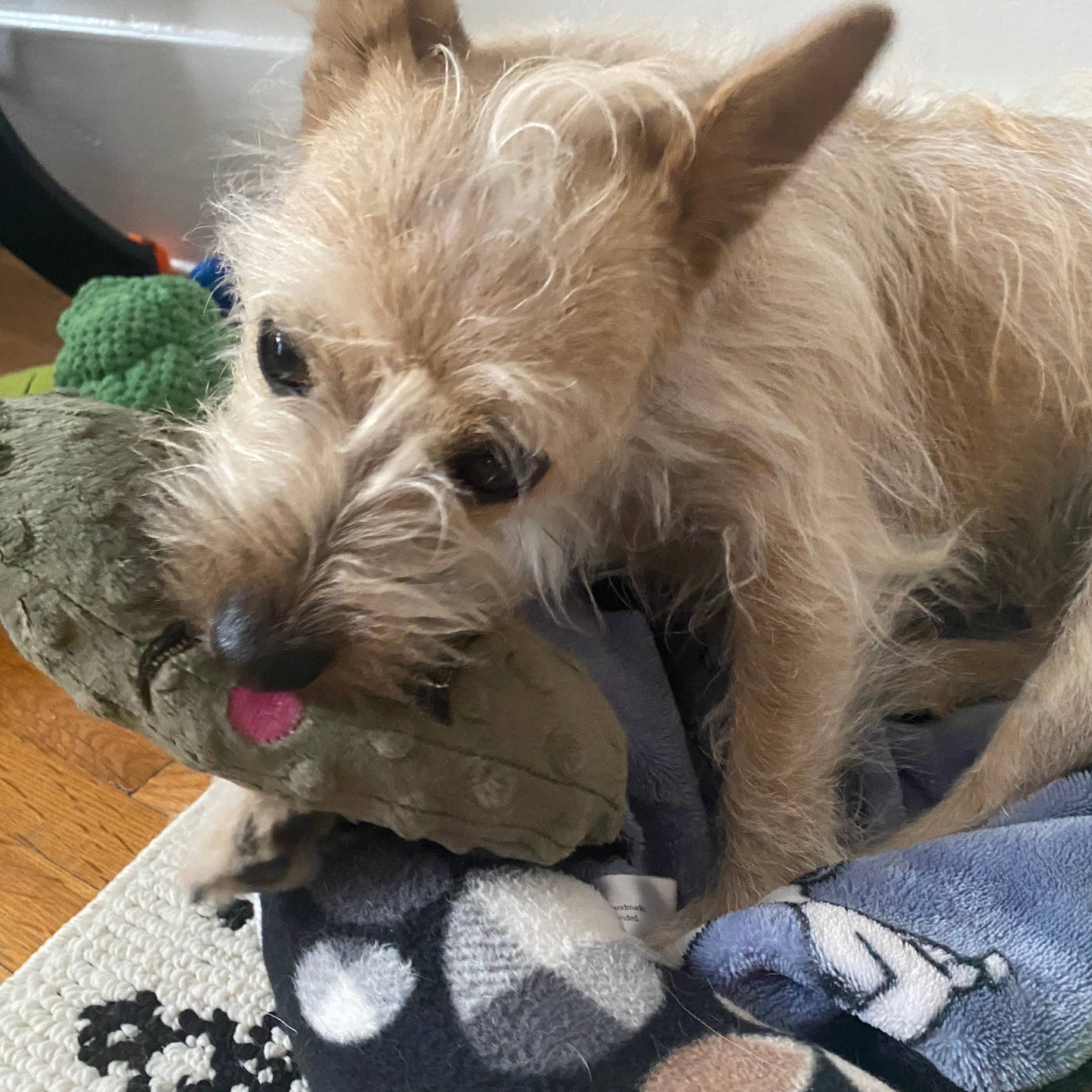 Handmade Pet Toys - Dog Squeaker Stuffed Pickles