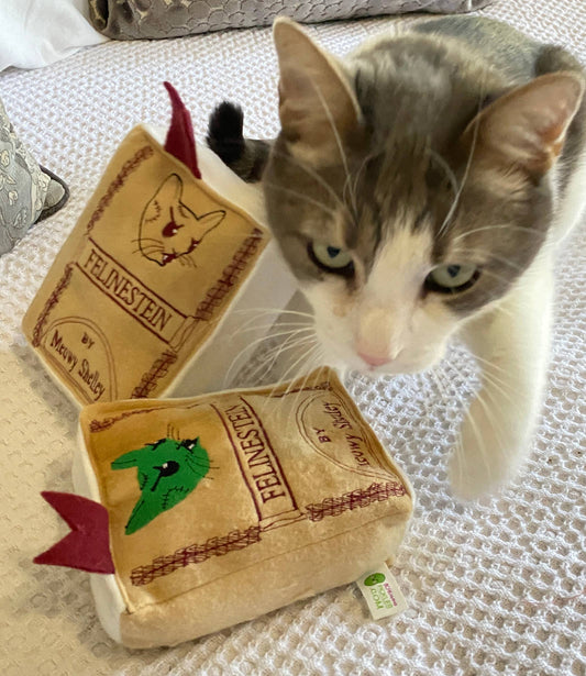 Handmade Cat Toy- Plush Book for Cats "Felinestein"