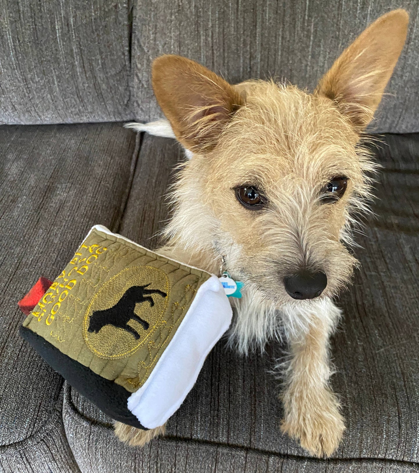 Handmade Dog Toy- Plush Books for Dogs "Moby Pit" & More