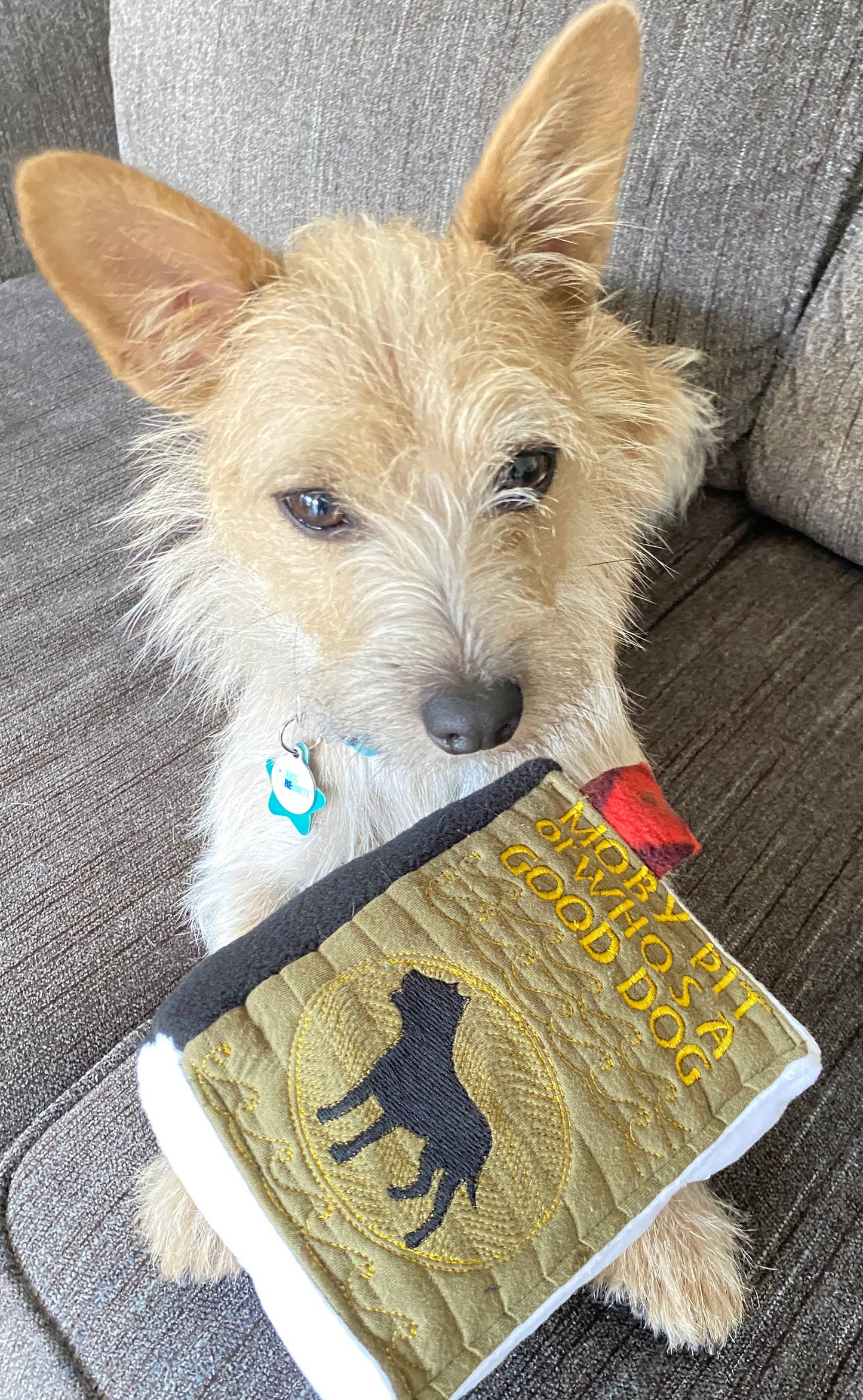 Handmade Dog Toy- Plush Books for Dogs "Moby Pit" & More