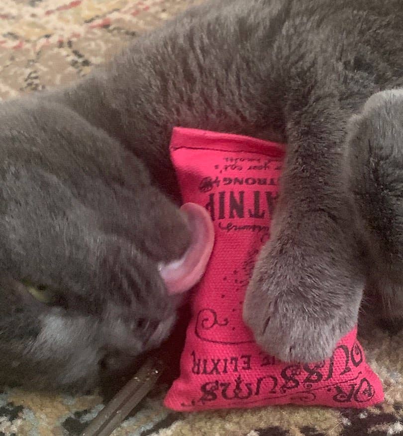 Regular Logo Catnip Pillow Catnip Toy