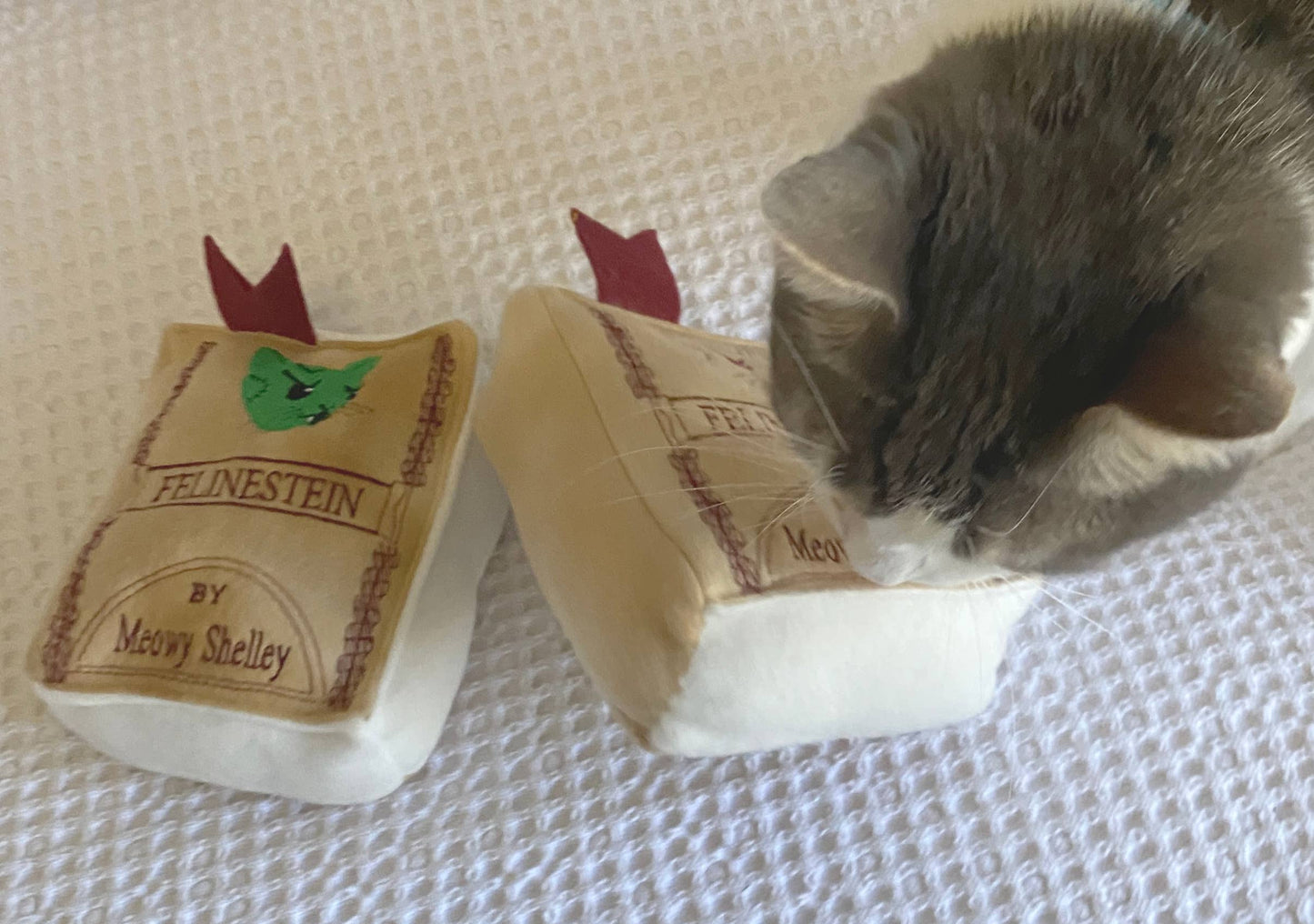 Handmade Cat Toy- Plush Book for Cats "Felinestein"