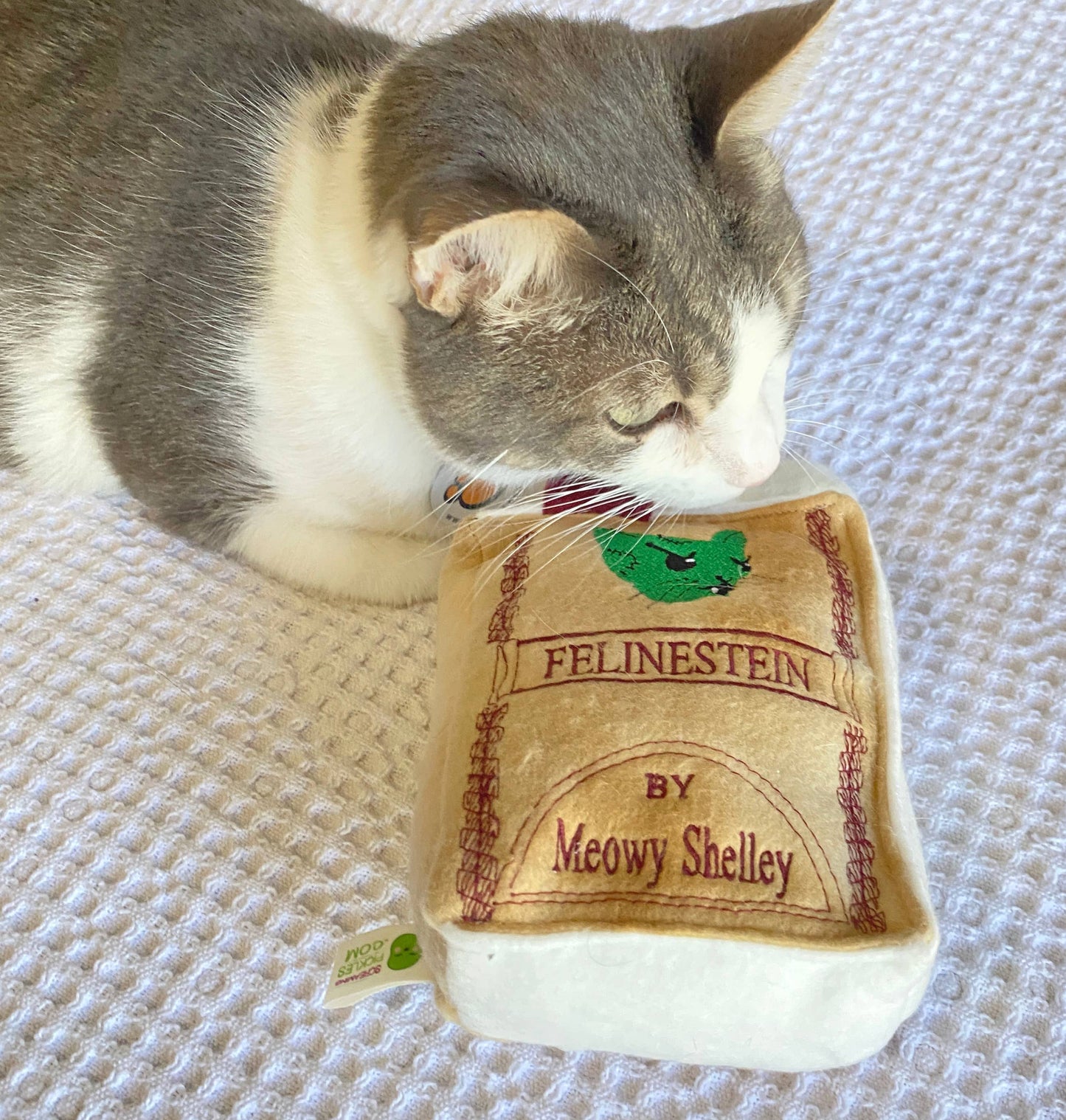 Handmade Cat Toy- Plush Book for Cats "Felinestein"