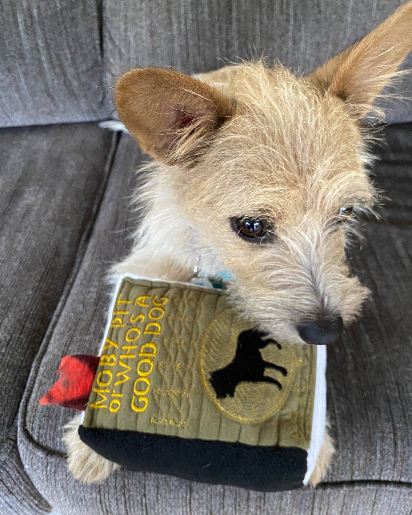 Handmade Dog Toy- Plush Books for Dogs "Moby Pit" & More