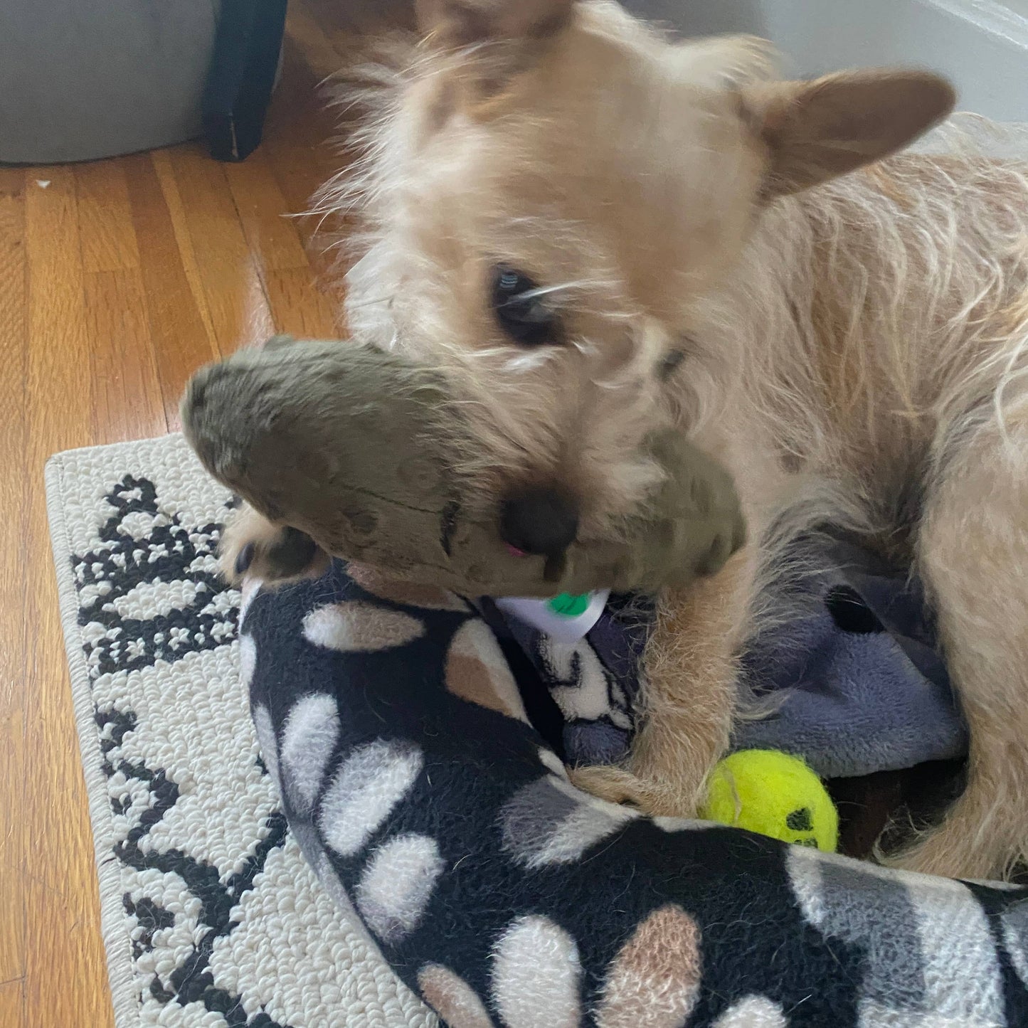 Handmade Pet Toys - Dog Squeaker Stuffed Pickles