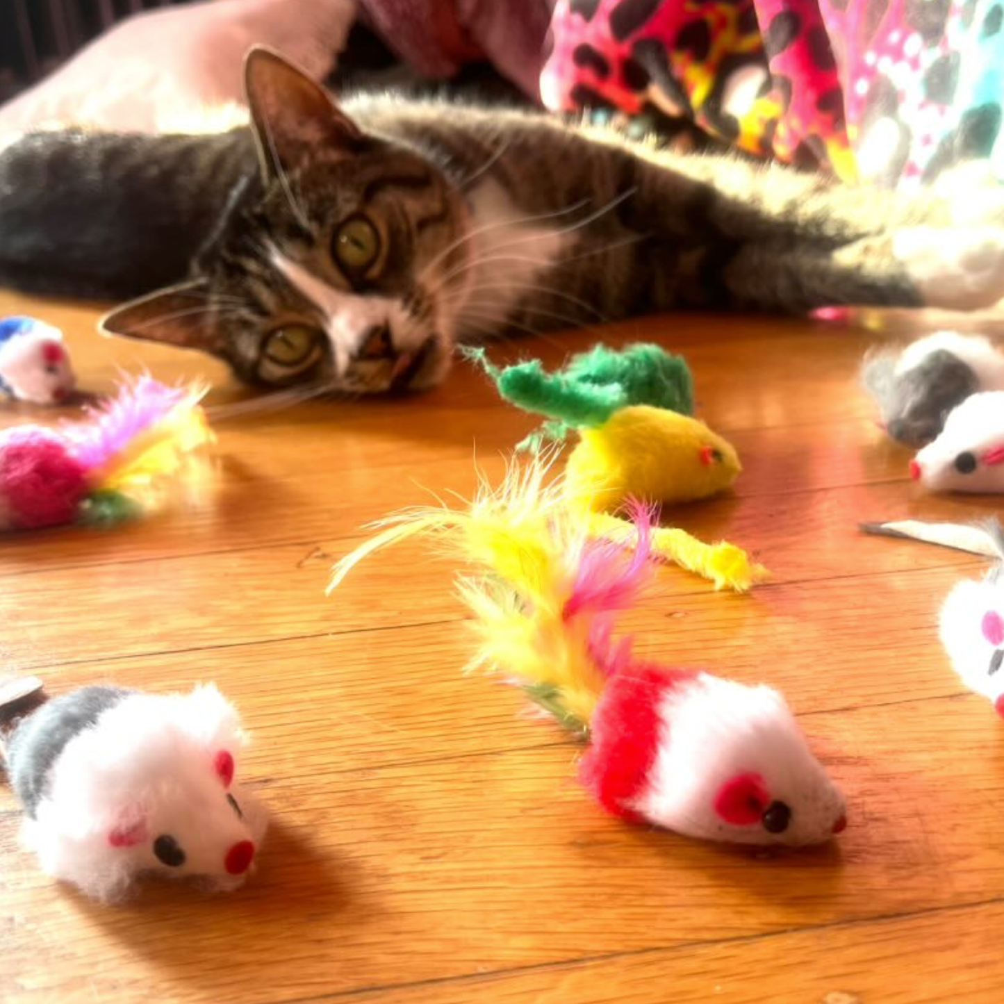 Multi Color Faux Fur Cat Mice Toys (12-Pack)