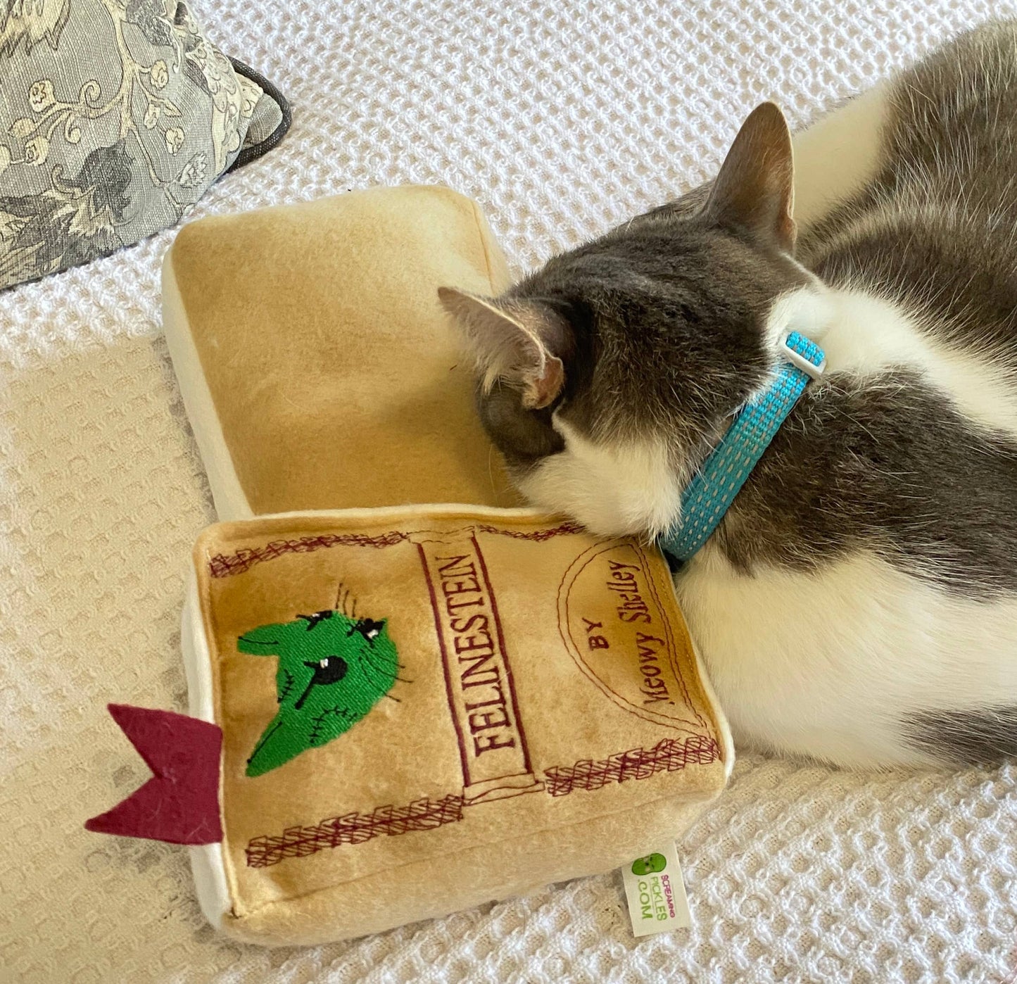 Handmade Cat Toy- Plush Book for Cats "Felinestein"