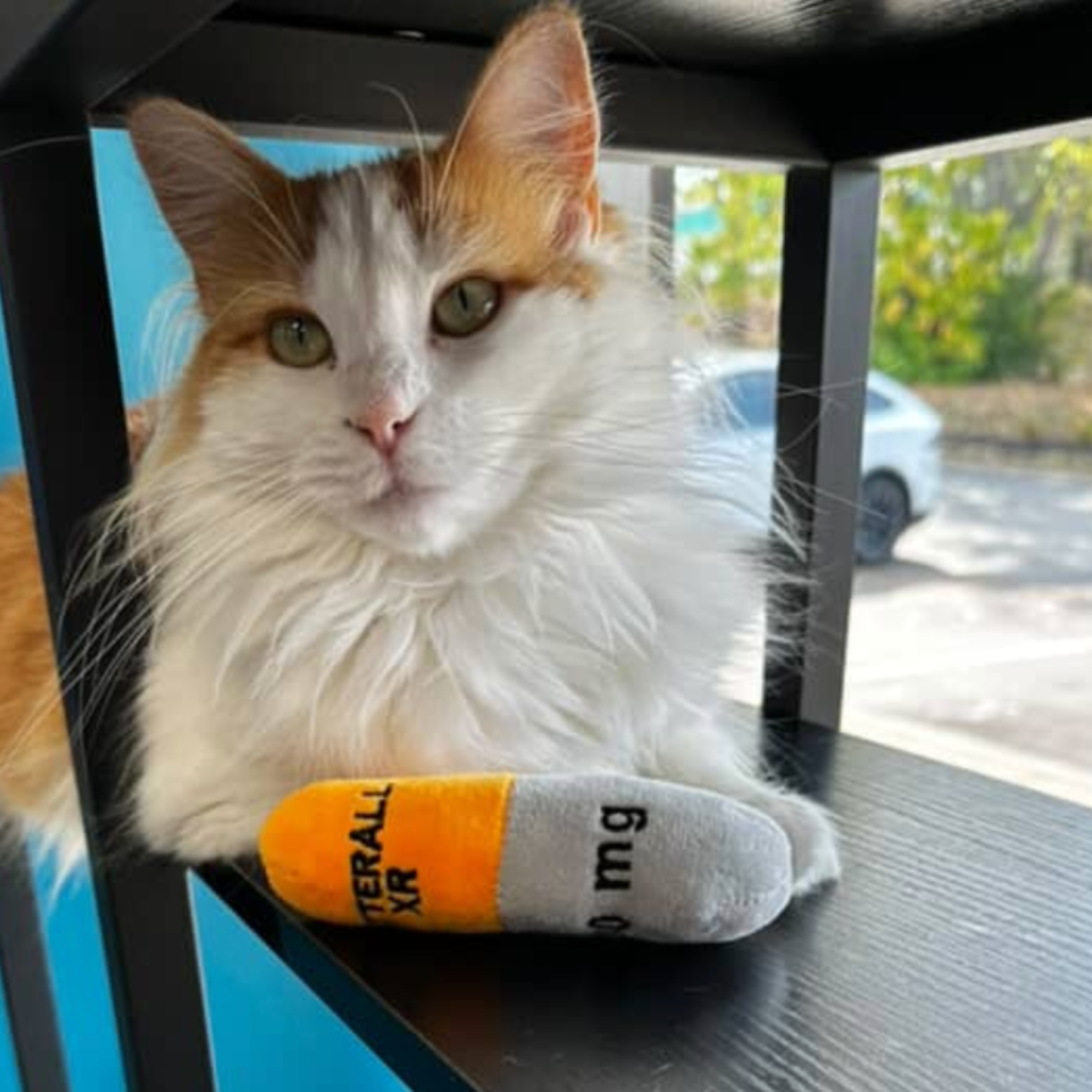 Catterall Catnip Filled Mini Kicker Toys (4 in a pack)