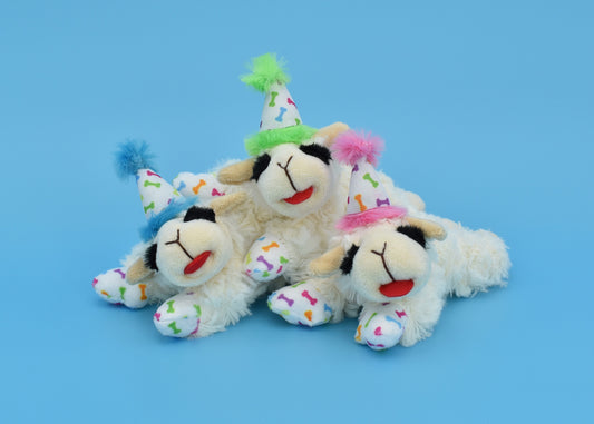 Multipet Plush Lamb chop Dog Toy Birthday Medium